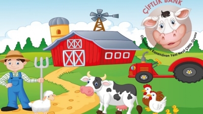 Farm Bank player-investors struggle to 'moo-ve' on as game founder flees Turkey